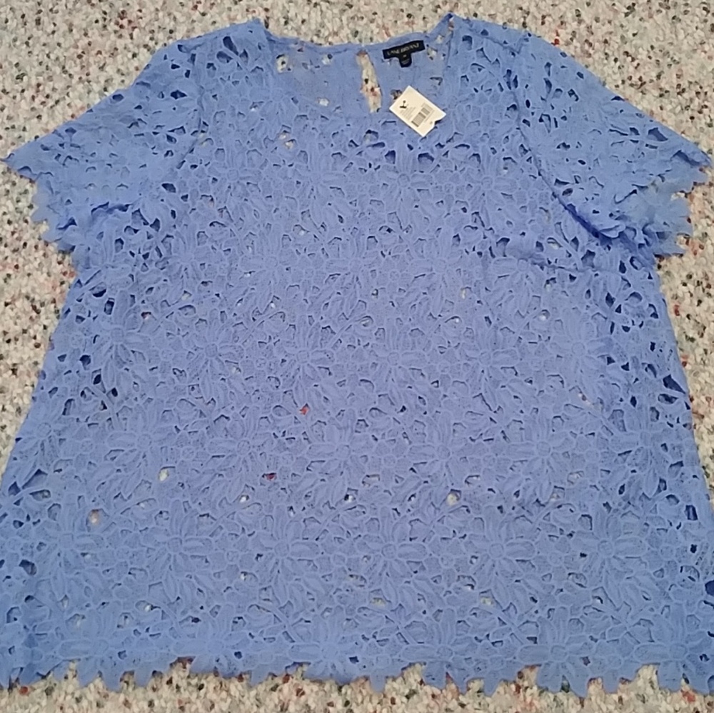Lane Bryant Light Blue Lace Top-22